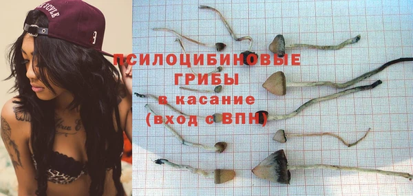 a pvp Аркадак