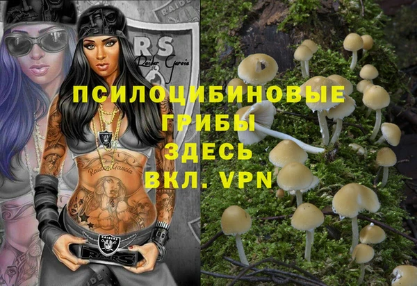 a pvp Аркадак