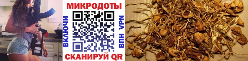 ОМГ ОМГ вход  цена   Шиханы  Галлюциногенные грибы мухоморы 